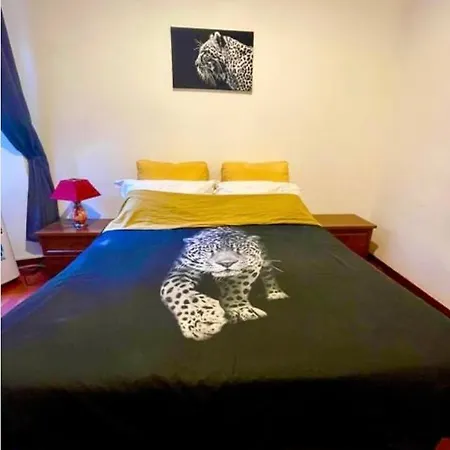 Parisa House * 로마